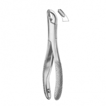 Fig. 360-17SK lower molars